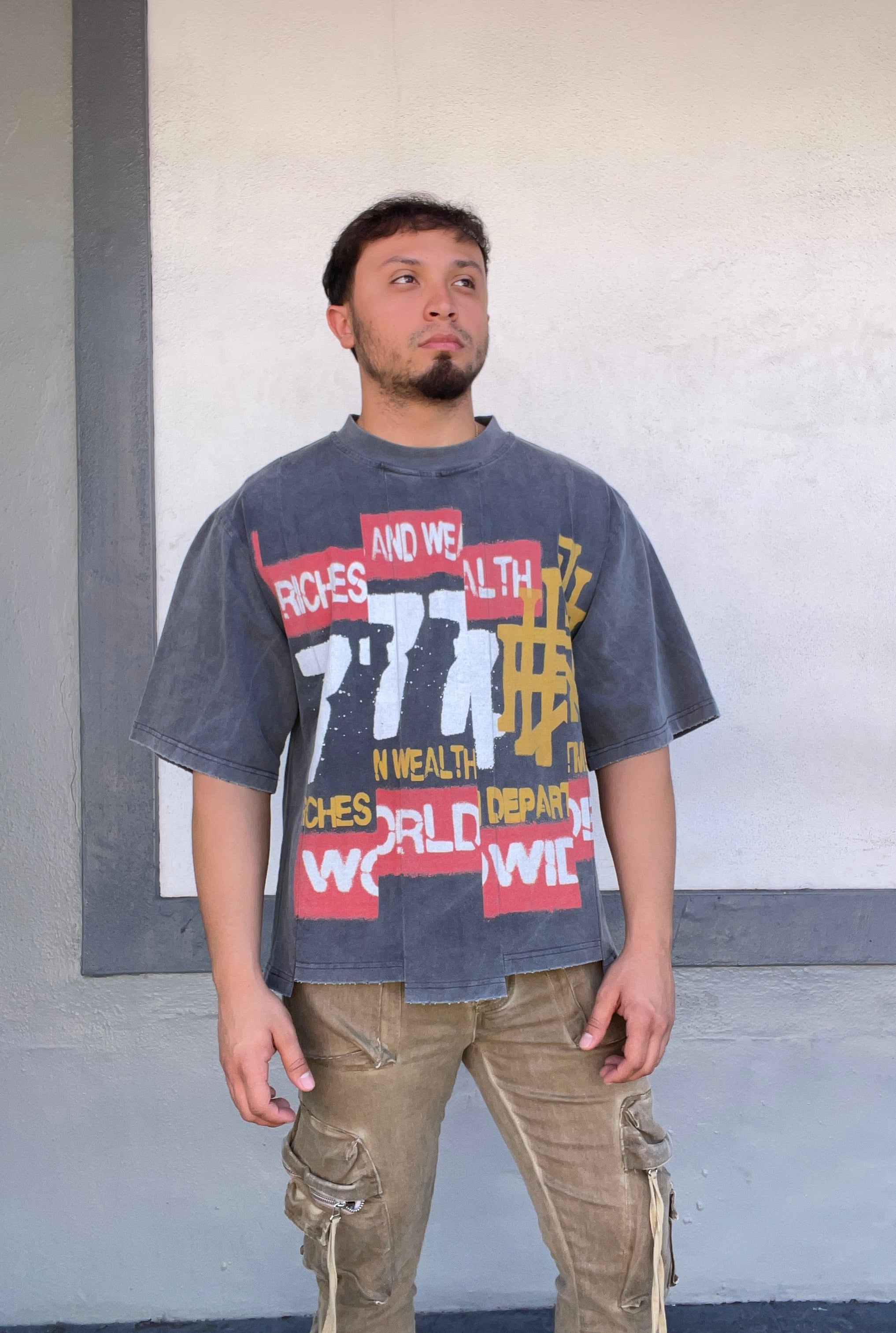 Riches And Wealth Crop Tee